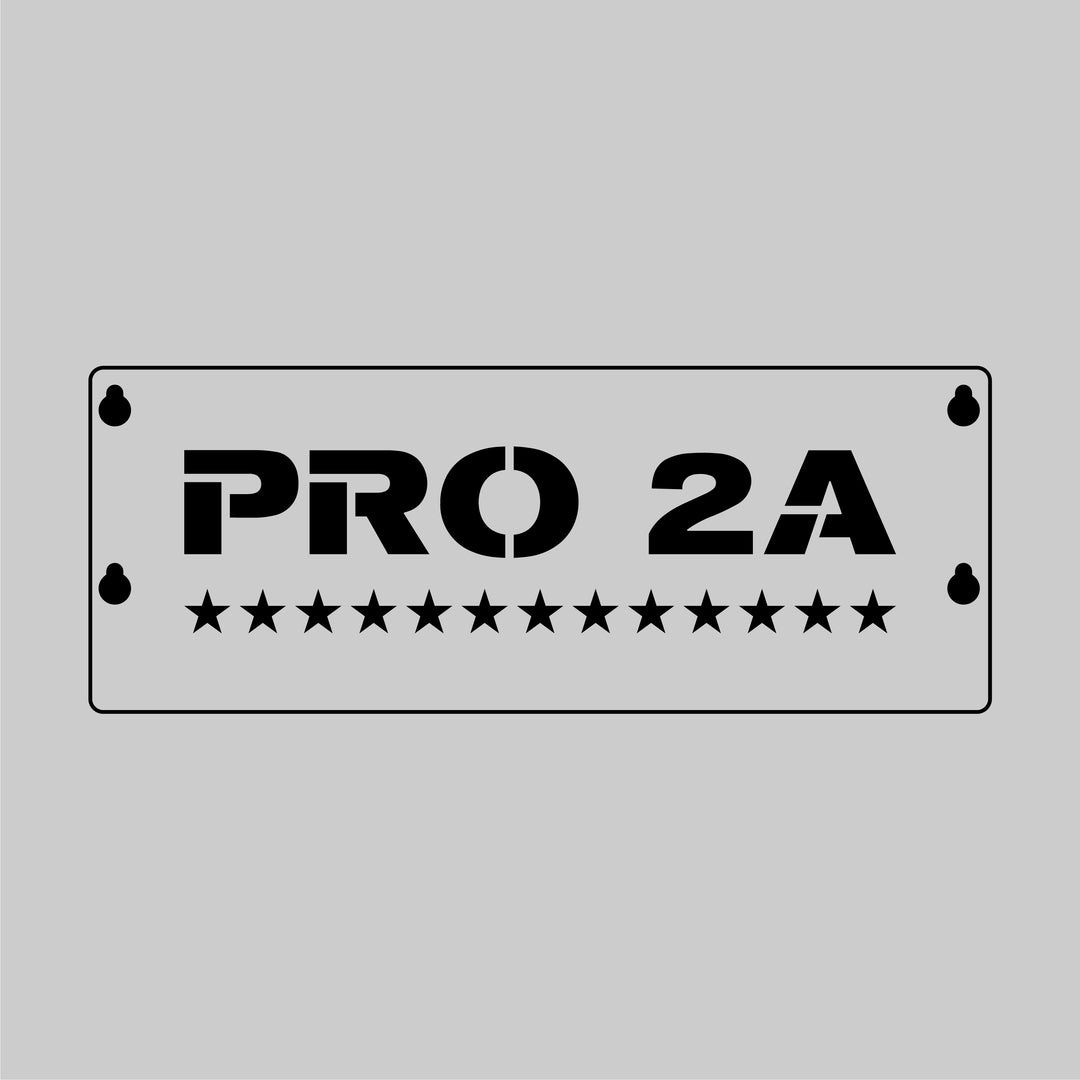 Pro 2A - BIG GUY